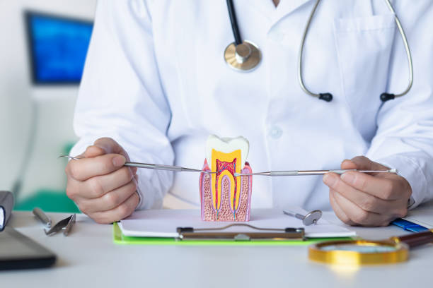 Best Emergency Tooth Extraction in Alpena, MI